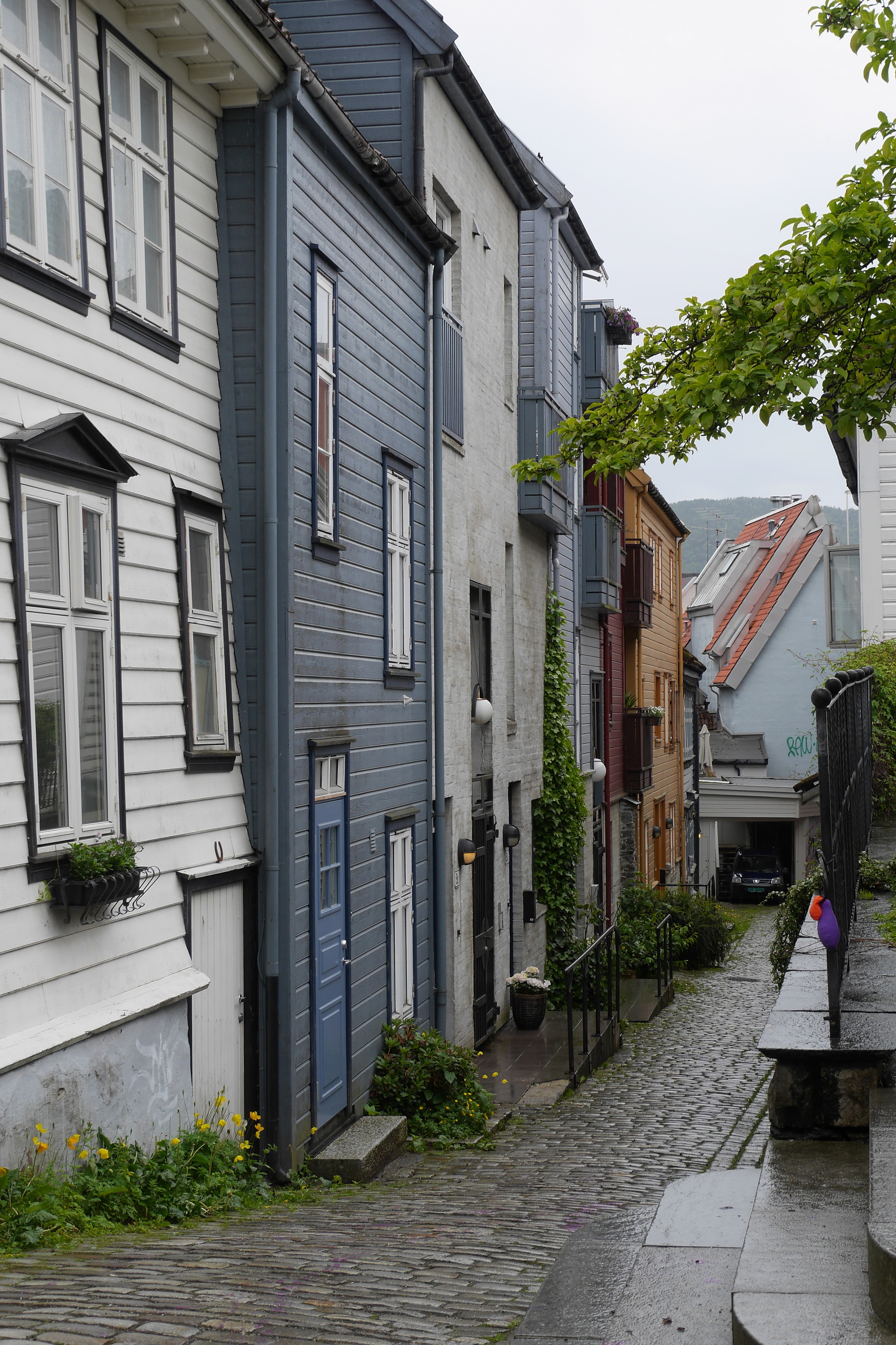 Bergen
